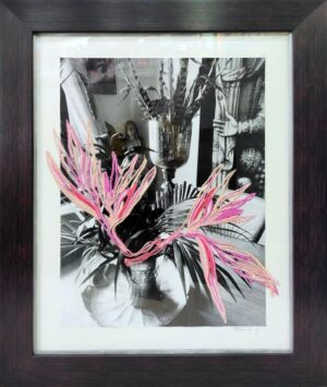 Bird of Paradise #2