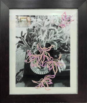 Lilies #2