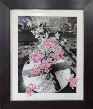 Orchids #2